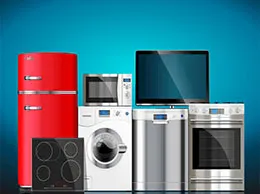Electronics and Home Appliance Stores